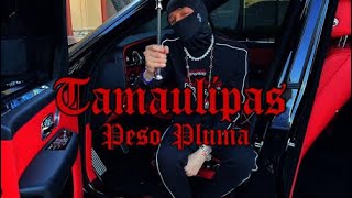 POR TAMAULIPAS - PESO PLUMA