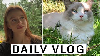 NOWE STUDIO, LAMINACJA BRWI, MOJE 3 KOTY | DAILY VLOG | Caamam