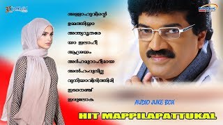 എം  ജി ശ്രീകുമാർ ആലപിച്ച മാപ്പിളപ്പാട്ടുകൾ  | Hit Mappilapattukal | Mappilap devotional songs |