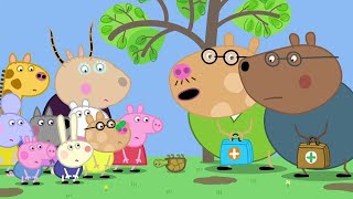 🐽 Peppa Pig 🐷 | 11 hours 55 mins | Non-Stop Cartoons | Streamed Jul 21, 2024