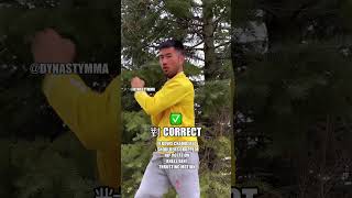 How To Drill 直衝拳 Straight Blast Punches (Wing Chun / Ving Tsun) 黃淳樑 詠春 功夫 #shorts