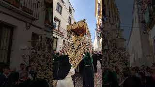 Virgen del Rocío SEVILLA 2023 - Petalá Calle Santiago