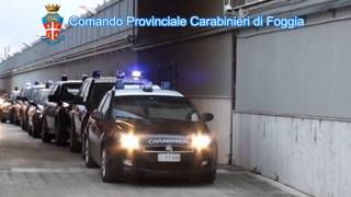 FURTI DI AUTO: 5 ARRESTI TRA SAN SEVERO, TORREMAGGIORE E APRICENA (FG)