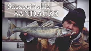 Szczecińskie sandacze-miejski spinning z bulwarów | Wędkarstwo