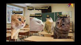 ￼POV:Моё 1 сентября Мемные котики￼￼