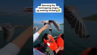 video yang harus kamu lihat sekali seumur hidup😱 (Part 7) #animals #shorts #ytshorts #yearofyou