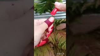 How to remove polygel nails without drill | How to remove polygel nails | Remove polygel #shorts