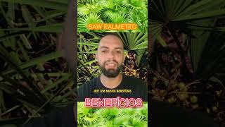 SAW PALMETTO