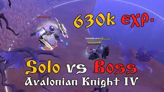 Albion Online: solo vs avalonian knight boss - 630k exp