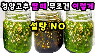 💚설탕없는고추청 이걸 넣으면 모든 요리가 정말 맛나고 쉬워요 조림요리에 만능 이 방법은 아무도 모릅니다/ 고추 1년 보관법