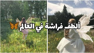 فراشة لطيفة جدا ونادرة 😇يغطيها الصوف تم اكتشافها حديثا ✨(الفراشة الفنزويلية)✨