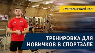 Тренировка для новичков в тренажерном зале