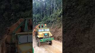 stewong lori balak naik bukit #truck #logging #loghauling #truckdrivers