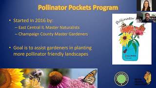 Pollinator Pockets