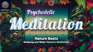 Psychedelic Meditation: Nature Sounds Water and Birds – Relaxation Music for Meditation