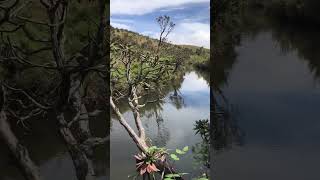 Beautiful horton plains #srilanka