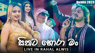 🔴 Sithata Hora Man (සිතට හොරා මං) Rahal Alwis  Live in HABIBI 2023 | VIRASH PRODUCTION | OLDS