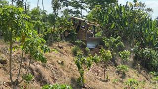 Making New Road CAT D6R XL Bulldozer Working in Plantations