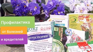 ПРОФИЛАКТИКА - Обработка и Уход от Болезней и Вредителей у Фиалок!