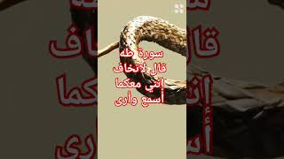 #سورة-طه#السلام_عليكم_ورحمة_الله_وبركاته #قرآن #قران_كريم #قصص #اكسبلور #ترند