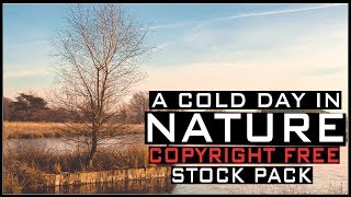 A cold day in Nature - Royalty Free Stock Video Footage