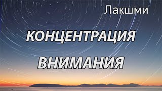 Kонцентрация внимания (Лакшми, НикОшо)