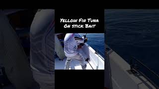 Yellow Fin Tuna on Stick Bait | #fishing