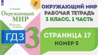 Окружающий мир. Рабочая тетрадь 3 класс 1 часть. ГДЗ стр. 17 №5