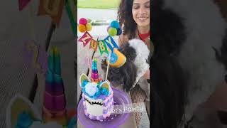 party time || Shichon puppy || DogBirthday Celebration