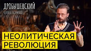 Как наши предки начали переходить к производству // Дробышевский. Человек разумный