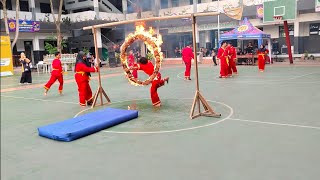 Penampilan Pencak Silat Tapak Suci | Sampai Lompat Api Penutupan Event Anifaa 2024 di Sekolah Papa |