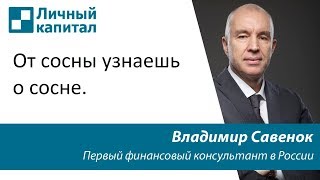 От сосны узнаешь о сосне.