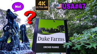 DUKE FARM VIRTUAL TOUR 4K | NEW JERSEY 🇺🇸 | MY USA 🇺🇸 TRAVEL VLOG