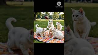 cat family picnic#shorts#ai #funny #cartoon