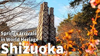 【Shizuoka/Izunokuni】Walking at Nirayama Reverberatory Furnace（Hansharo, World Heritage, Sakura  etc）