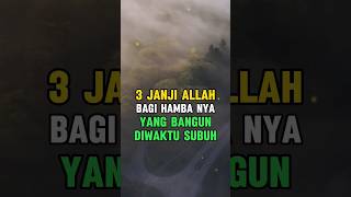 Ini dia 3 janji allah untuk hambanya yang taat bangun subuh #feedshorts