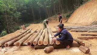 chop wood to build a house, build a new farm - Thanh Building life - forest life