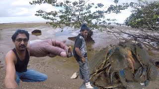 Meet crabman ganesh from carlibay catching blue crabs.