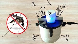 With a fan you can eliminate annoying insects