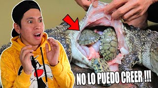 10 COSAS "WTF" ENCONTRADAS EN ANIMALES😱 *te vas a sorprender*