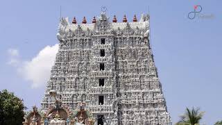 Suchindram, Kanyakumari Guide - What to do, When to visit, How to reach, Cost  Tripspell