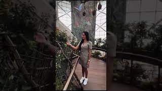 Amazon Jungle in Dubai: ticket to the Green Planet Museum, UAE🇦🇪