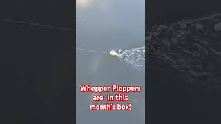 Whopper Ploppers | They're back!