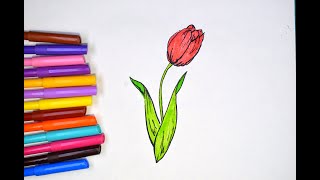 Рисуем цветы тюльпан. Drawing flowers. Tulip