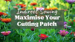 How to Plan Your Sowing for a Cutting Patch Without Direct Sowing