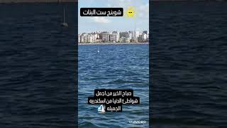 صباح الخير من اجمل شواطئ الدنيا من اسكندريه الجميله🌷🌷#alex #alexandria #egypt