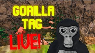 Gorilla Tag Live (2000 Subs???)