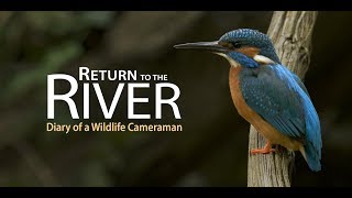 TRAILER - Return to the River - Diary of a Wildlife Cameraman