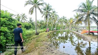 Kerala Rural Area Walking Tour /Beautiful Village park #indianvillagelife #keralavillage #rurallife