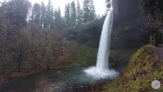 Hiking at Silver Falls, OR [4K]